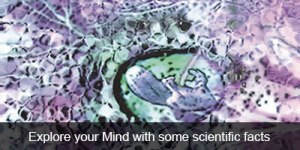 explore-your-mind-science